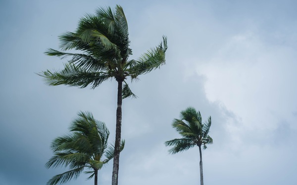 How Businesses in the Greater Daytona Region Can Prepare for Hurricane Season
