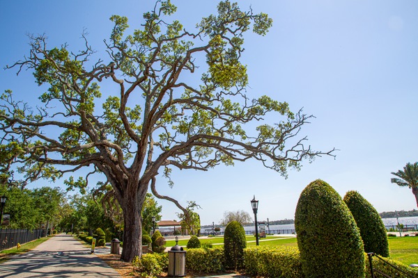 Celebrating National Park & Recreation Month in the Greater Daytona Region